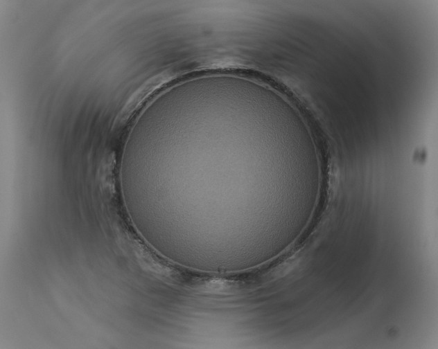 X0000113551265200910021522