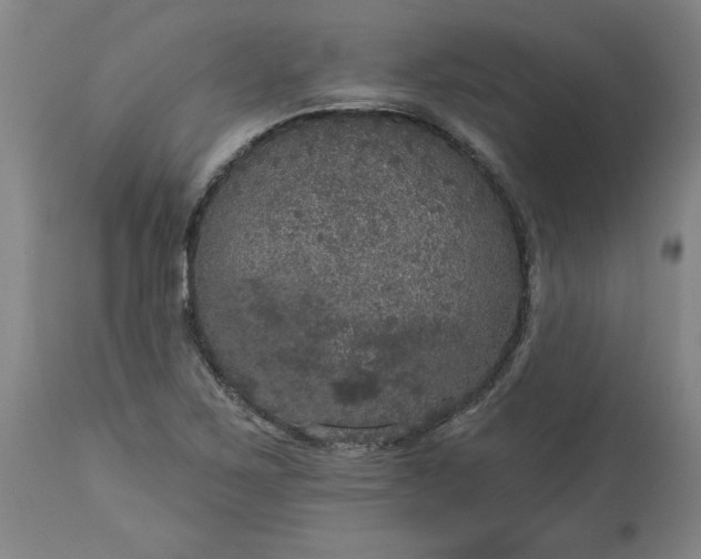 X0000113551267200910021522