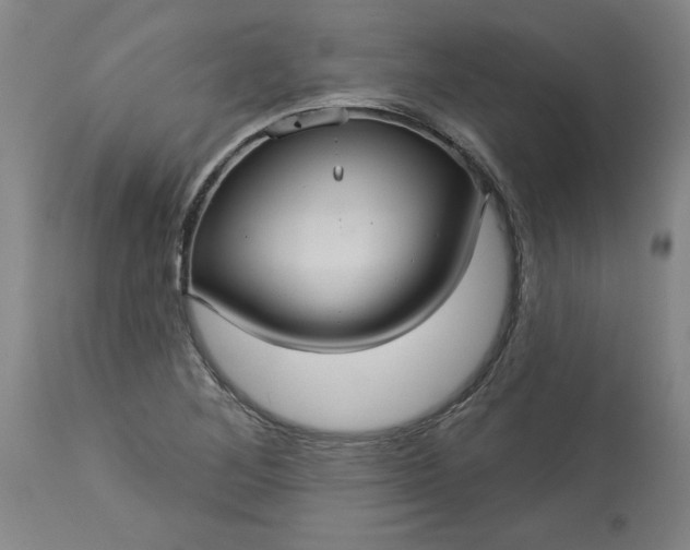 X0000113551268200910021522