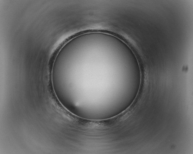 X0000113551270200910021522