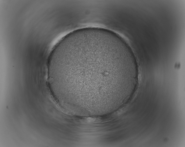 X0000113551271200910021522