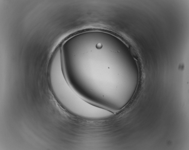 X0000113551272200910021522