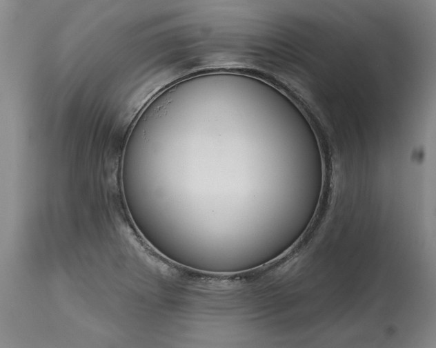 X0000113551273200910021522