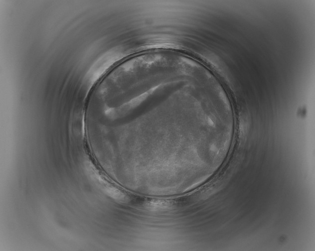 X0000113551274200910021522