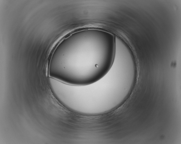 X0000113551276200910021522