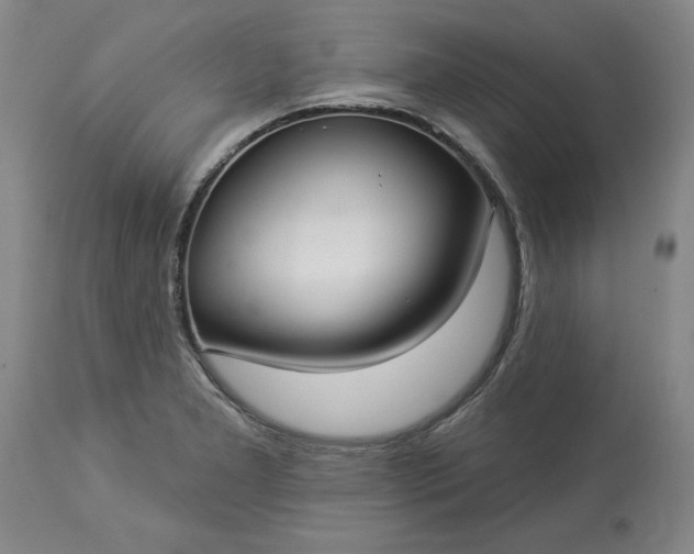 X0000113551277200910021522