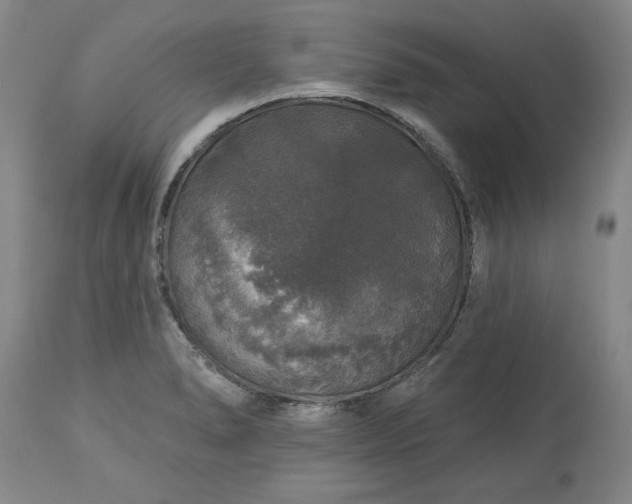 X0000113551278200910021522