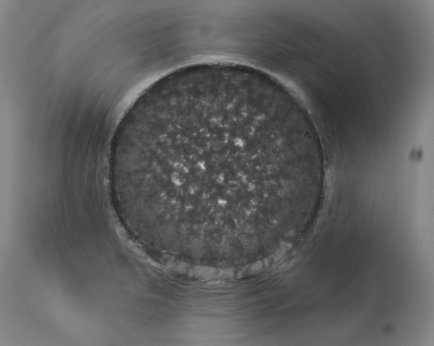 X0000113551279200910021522