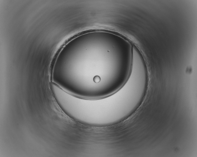 X0000113551280200910021522