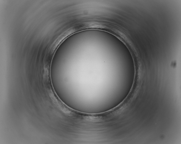 X0000113551281200910021522