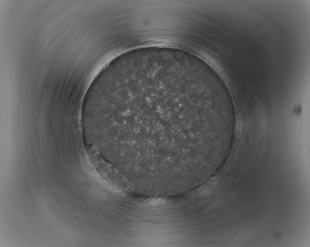 X0000113551283200910021522