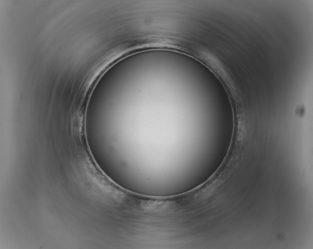 X0000113551284200910021522