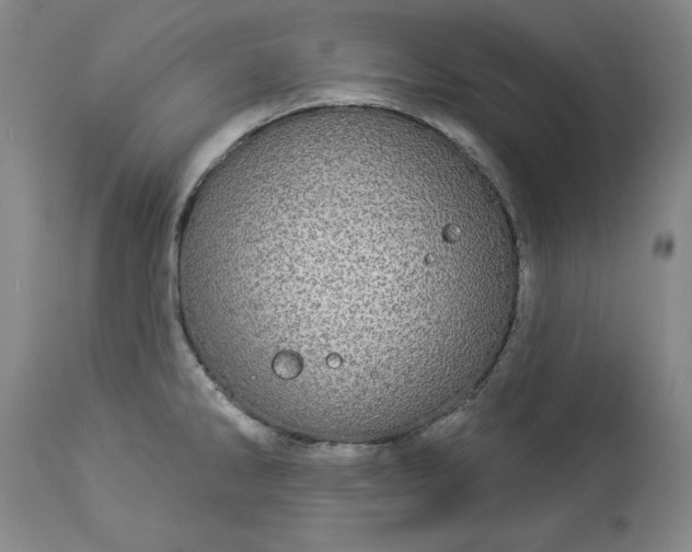 X0000113551286200910021522