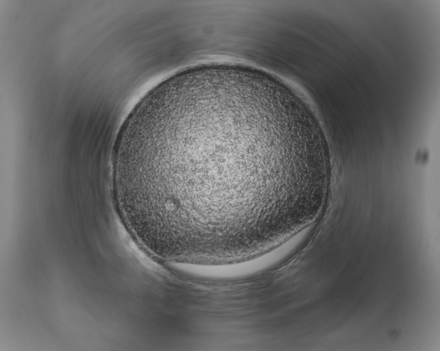 X0000113551287200910021522