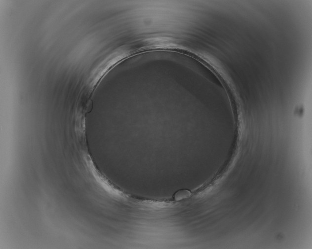 X0000113551289200910021522