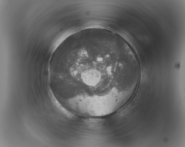 X0000113551290200910021522