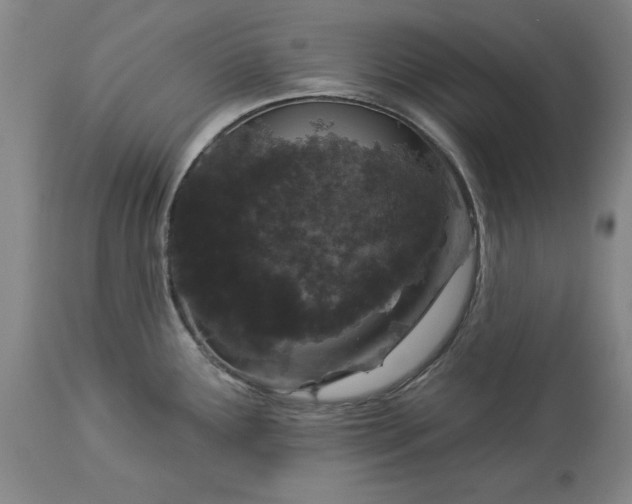 X0000113551291200910021522