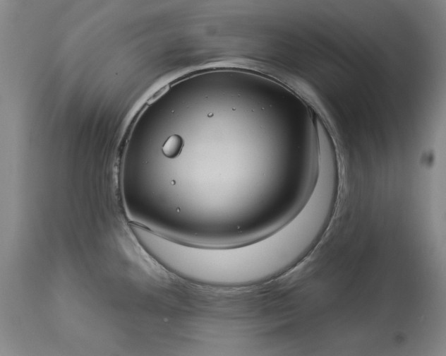 X0000113551292200910021521