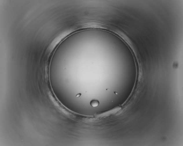 X0000113551293200910021521