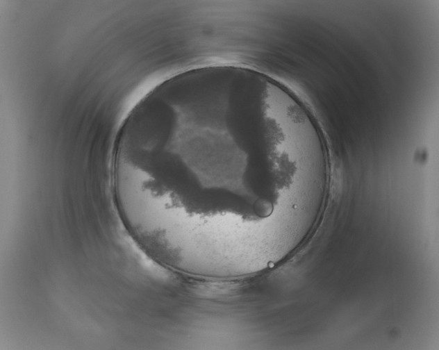 X0000113551294200910021521