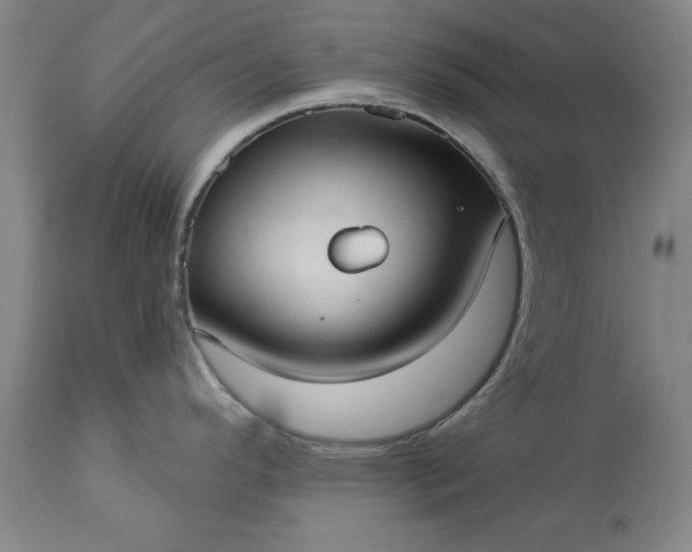 X0000113551296200910021521