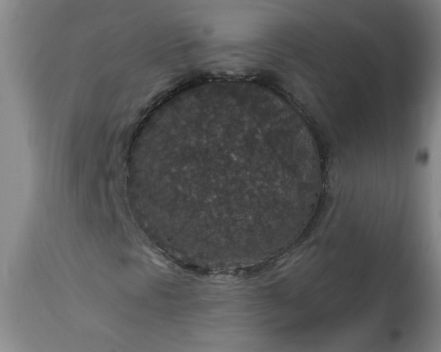 X0000113551297200910021521