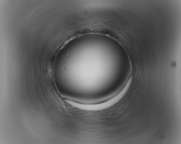 X0000113551298200910021521