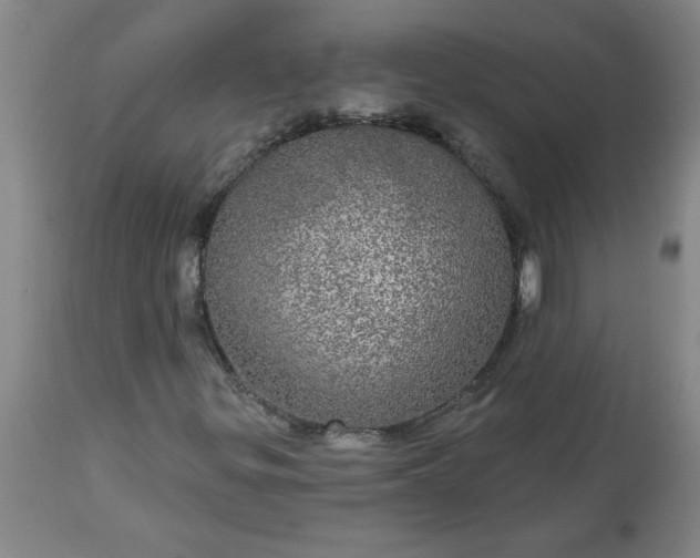 X0000113551299200910021521