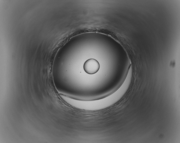 X0000113551300200910021521