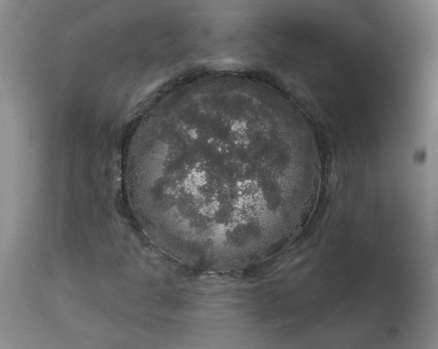 X0000113551301200910021521