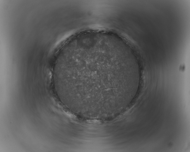 X0000113551302200910021521