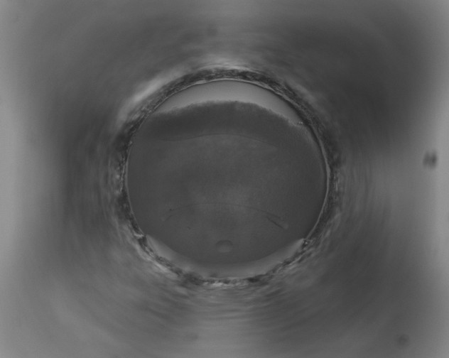 X0000113551303200910021521