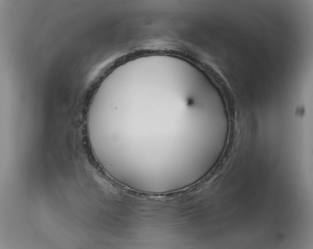 X0000113551304200910021521