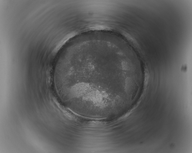 X0000113551305200910021521