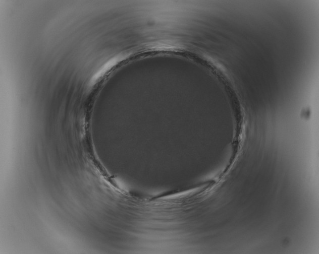 X0000113551306200910021521