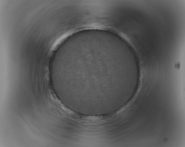 X0000113551307200910021521