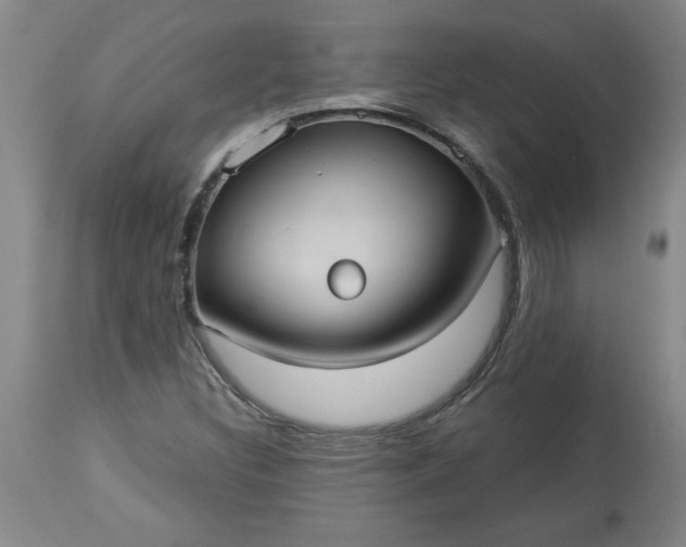 X0000113551308200910021521