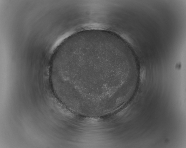 X0000113551309200910021521