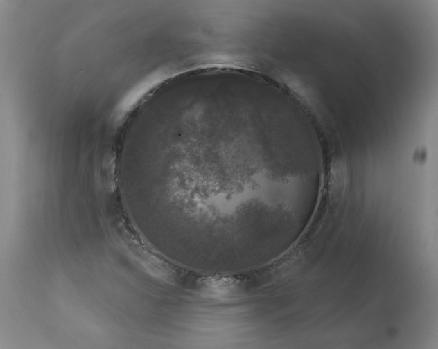 X0000113551310200910021521