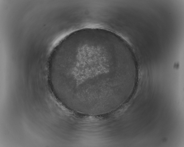 X0000113551311200910021521