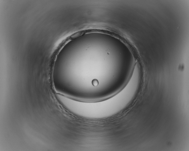 X0000113551312200910021521