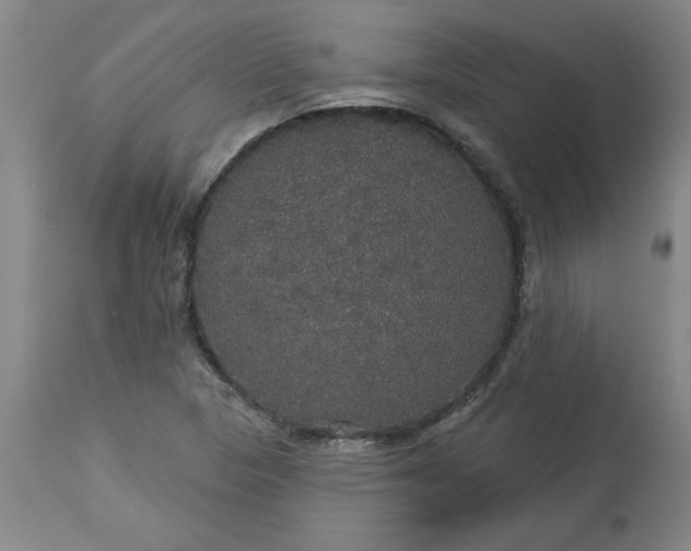 X0000113551313200910021521