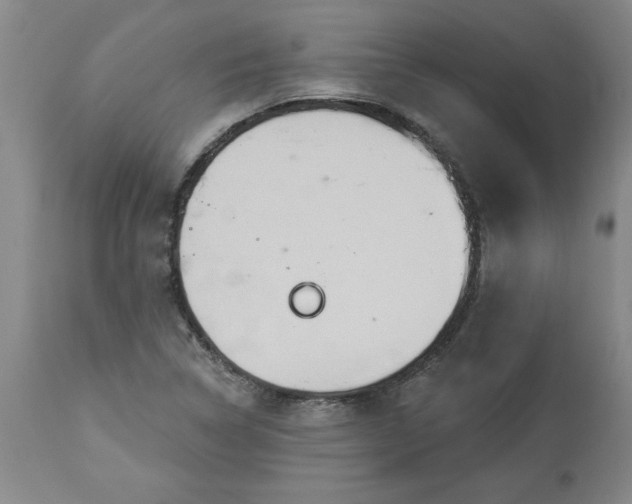 X0000113551314200910021521