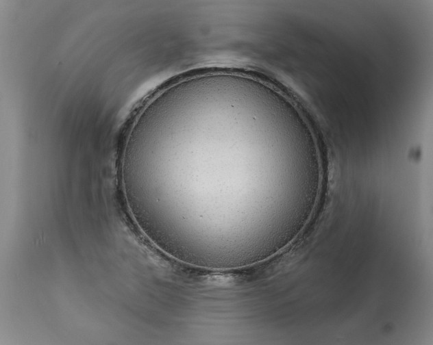 X0000113551315200910021521