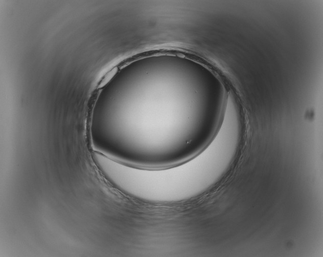 X0000113551316200910021521