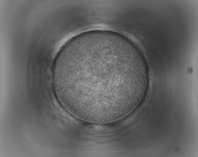 X0000113551318200910021521