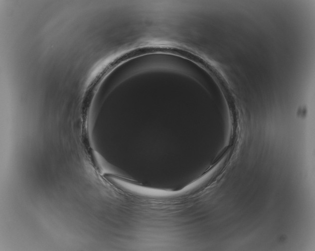 X0000113551319200910021521