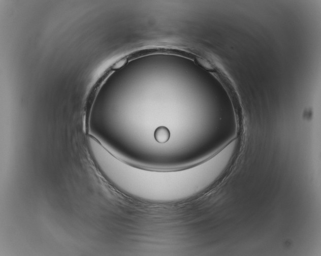 X0000113551320200910021521