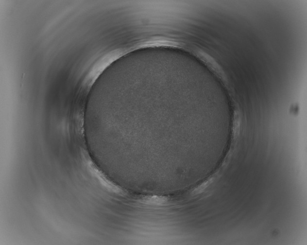 X0000113551321200910021521