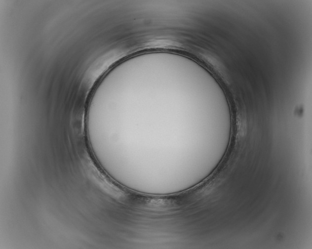 X0000113551322200910021521